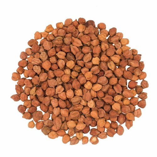 Chana Seeds
