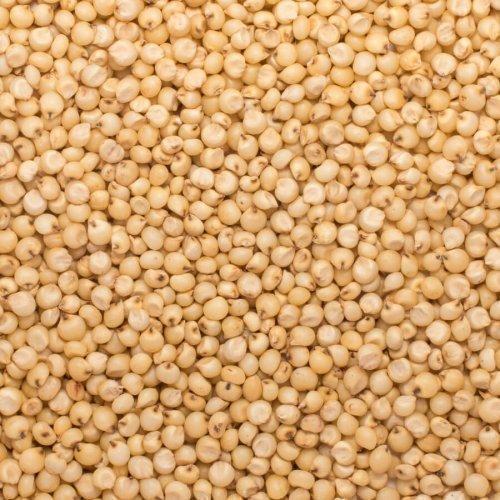 Jowar Grain