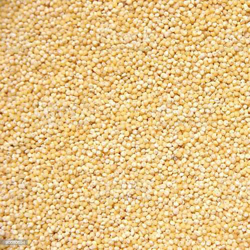 Millet Grain