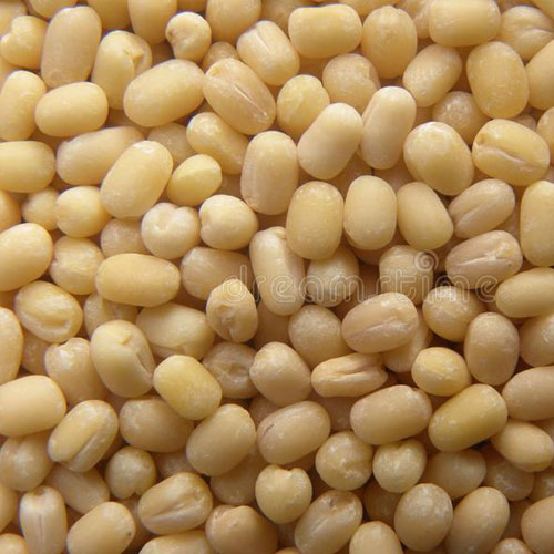 Urad Dal